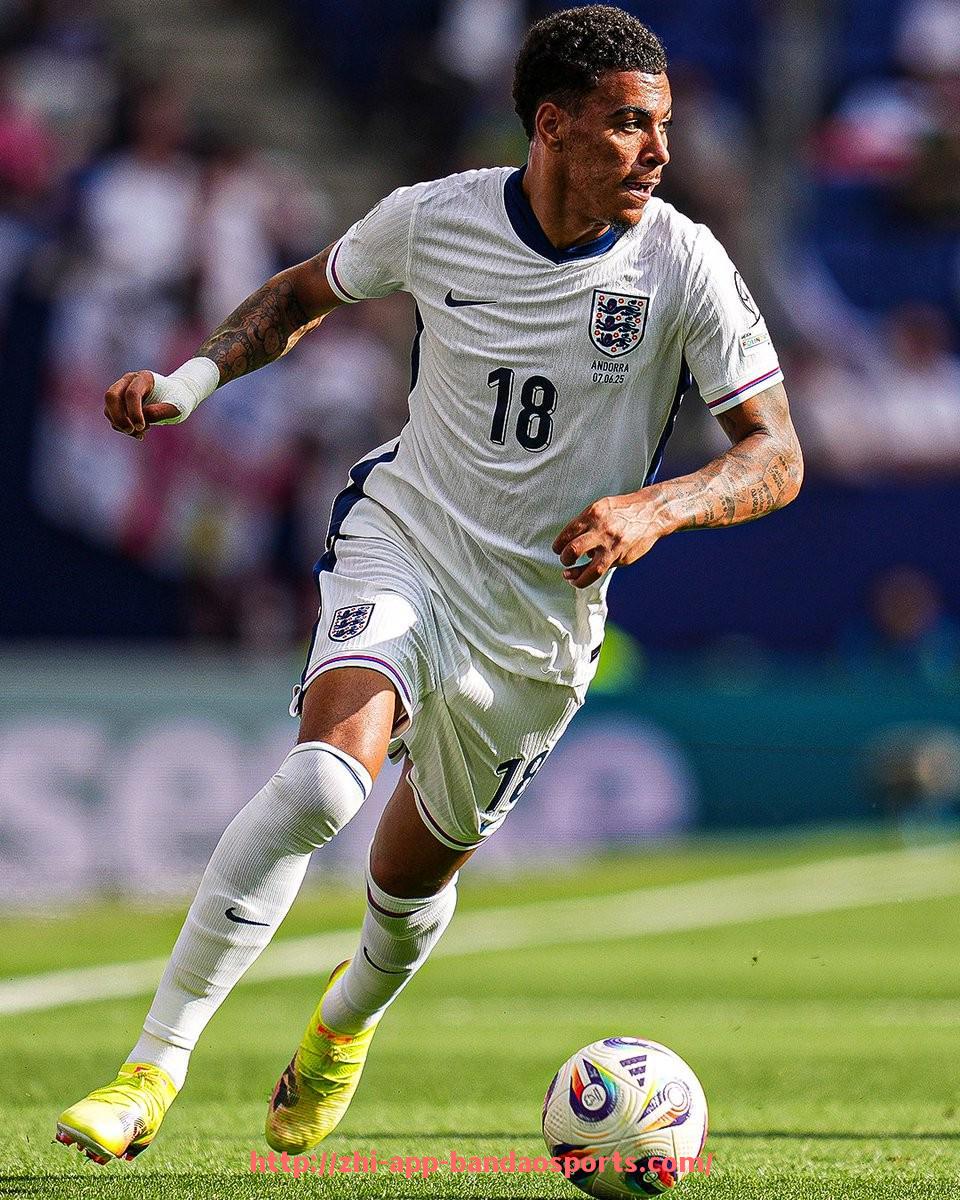 半岛体育app-法甲外援表现评估及赛场贡献排名