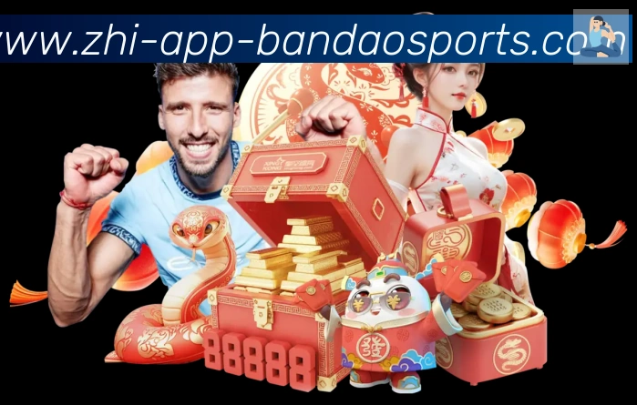 半岛体育app服务体系