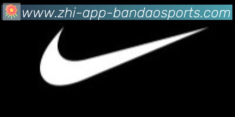 半岛体育app合作伙伴