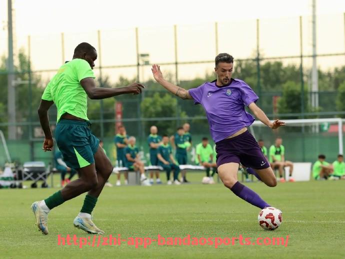 半岛体育app-CBA降薪令为何没有影响到足球员：体育行业的差异