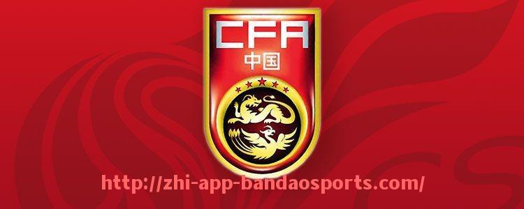 半岛体育app-意甲联赛全景盘点：2025赛季所有参赛球队名单与战力